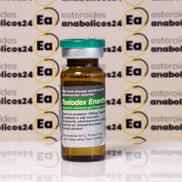 Testodex Enanthate 250 mg Sciroxx