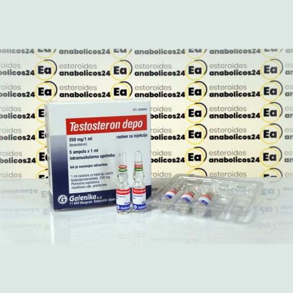 Testosteron Depo (Testosteron Enanthato) 250 mg Galenika