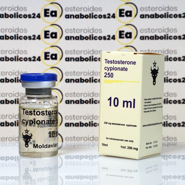 Testosterone cypionate 250 mg Moldavian Pharma