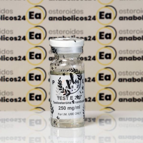 Testosterona E 250 mg Prime