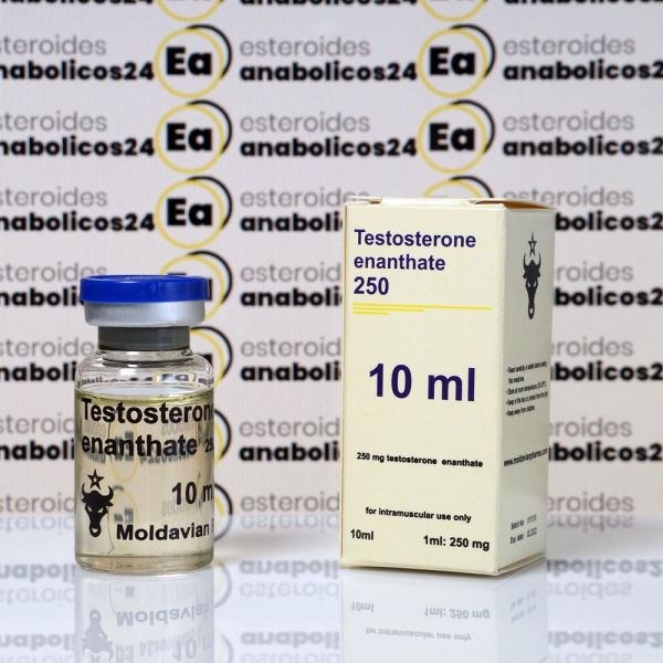 Testosterone enanthate 250 mg Moldavian Pharma