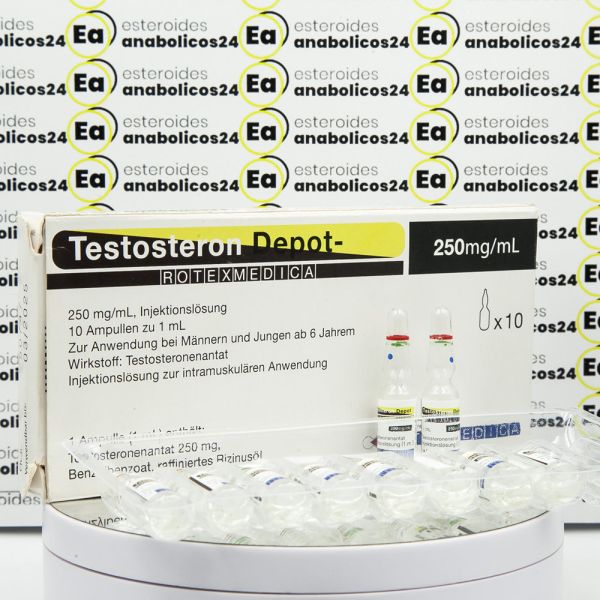 Testosteron Depot - 250 mg Rotexmedica