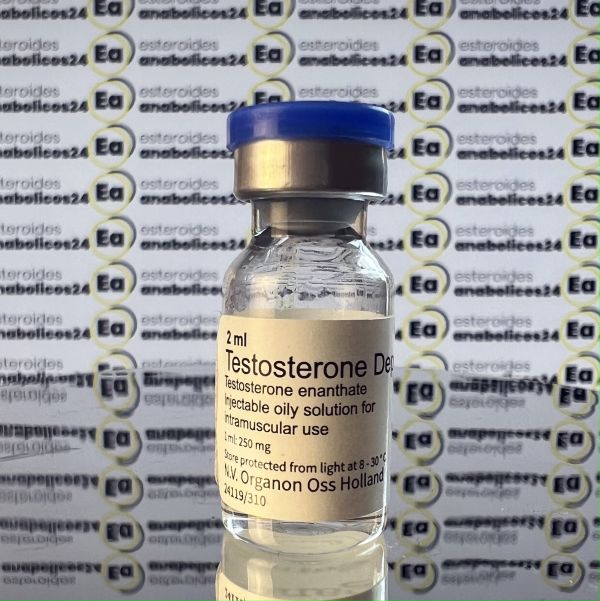 Testosterone Depo 250 mg Organon