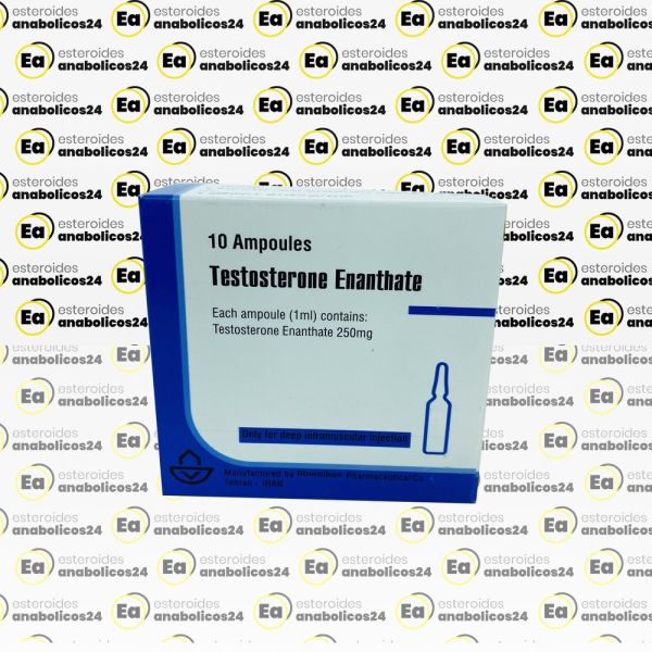 Testosterone Enantato 250 mg Aburaihan