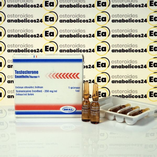 Testosterone Enanthate 250 mg Norma Hellas